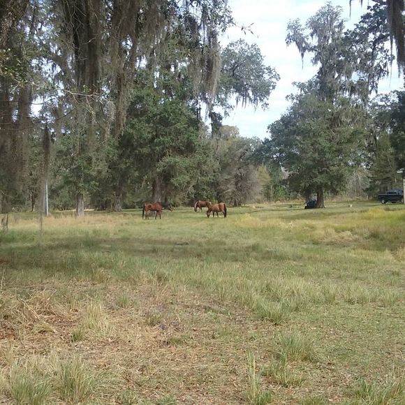 Meet your Posher, Scott - Picture 1 of 1